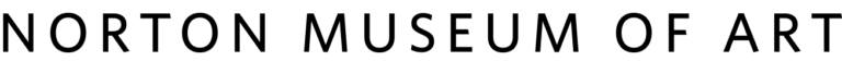 Norton LOGO