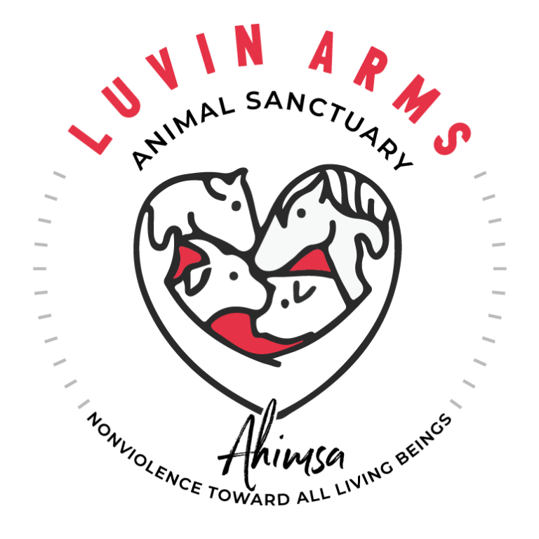 Luvin Arms Logo Round