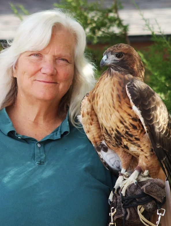 A women looking into the camera holding a falcon on her arm.