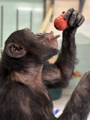 George_kong_enrichment_FR6_CD_IMG_9322